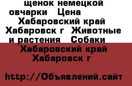 щенок немецкой овчарки › Цена ­ 35 000 - Хабаровский край, Хабаровск г. Животные и растения » Собаки   . Хабаровский край,Хабаровск г.